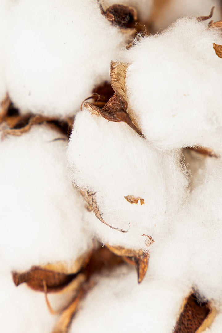 montloup organic cotton coton biologique tissus montreal canada quebec engagements environnement
