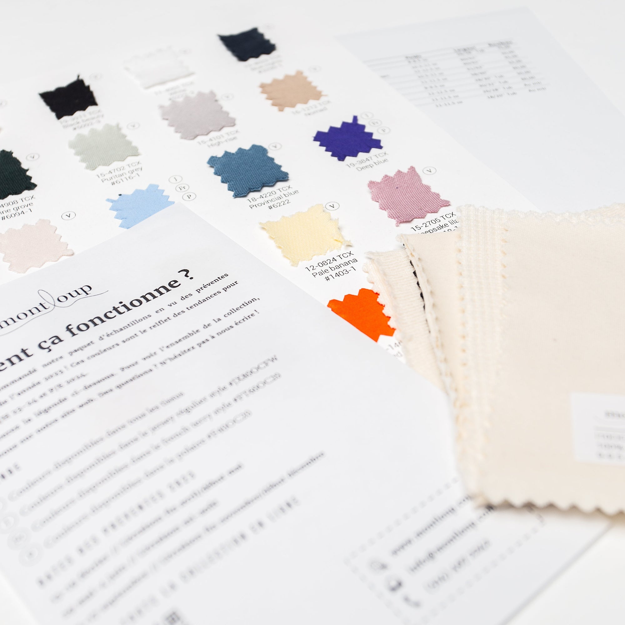 Swatch package - 2025 collaborative presales